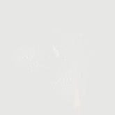 Skin Karma Aftershave and Face Mist